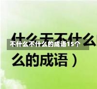 不什么不什么的成语15个