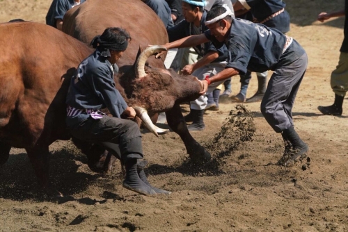 九牛二虎之力及其他力量成语的深刻内涵